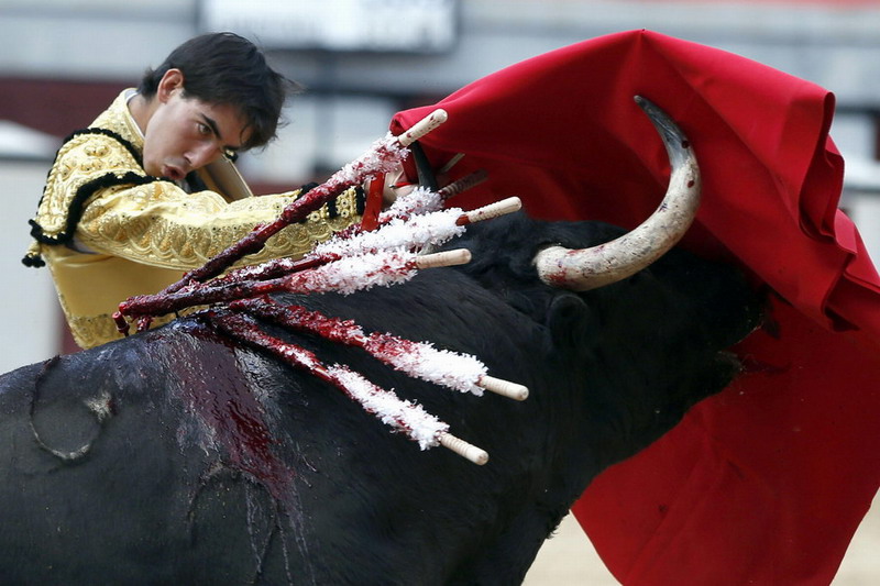 南宫娱乐-公牛前途光明！，德约科维奇新星夺冠表现突出再创辉煌时刻(德约科维奇24个大满贯)